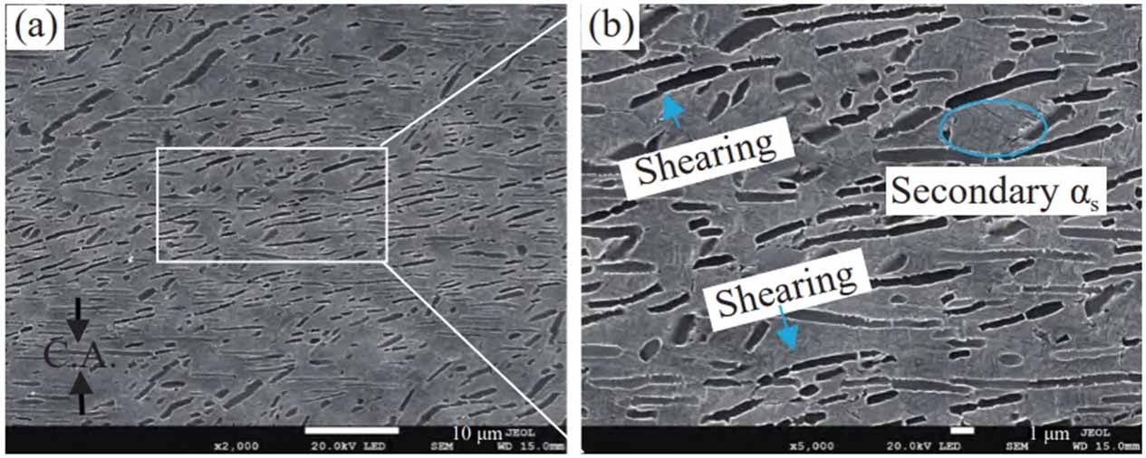 Thermal_Deformation_Behavior_of_SP700_Titanium_Alloy-16.jpg